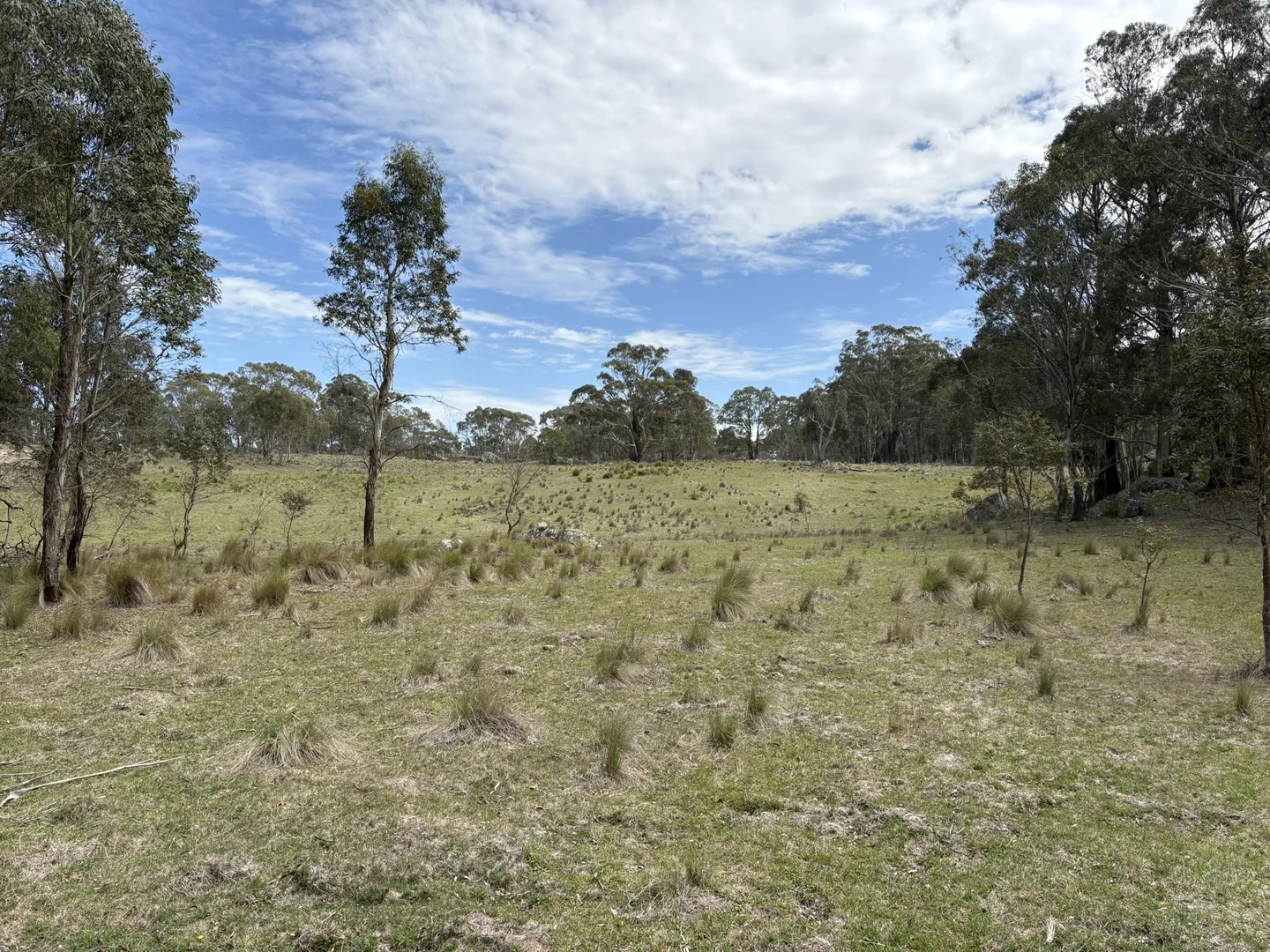 Additional image 8 of Lot 31/31, 175 Tumbledown Road, Peak View NSW 2630