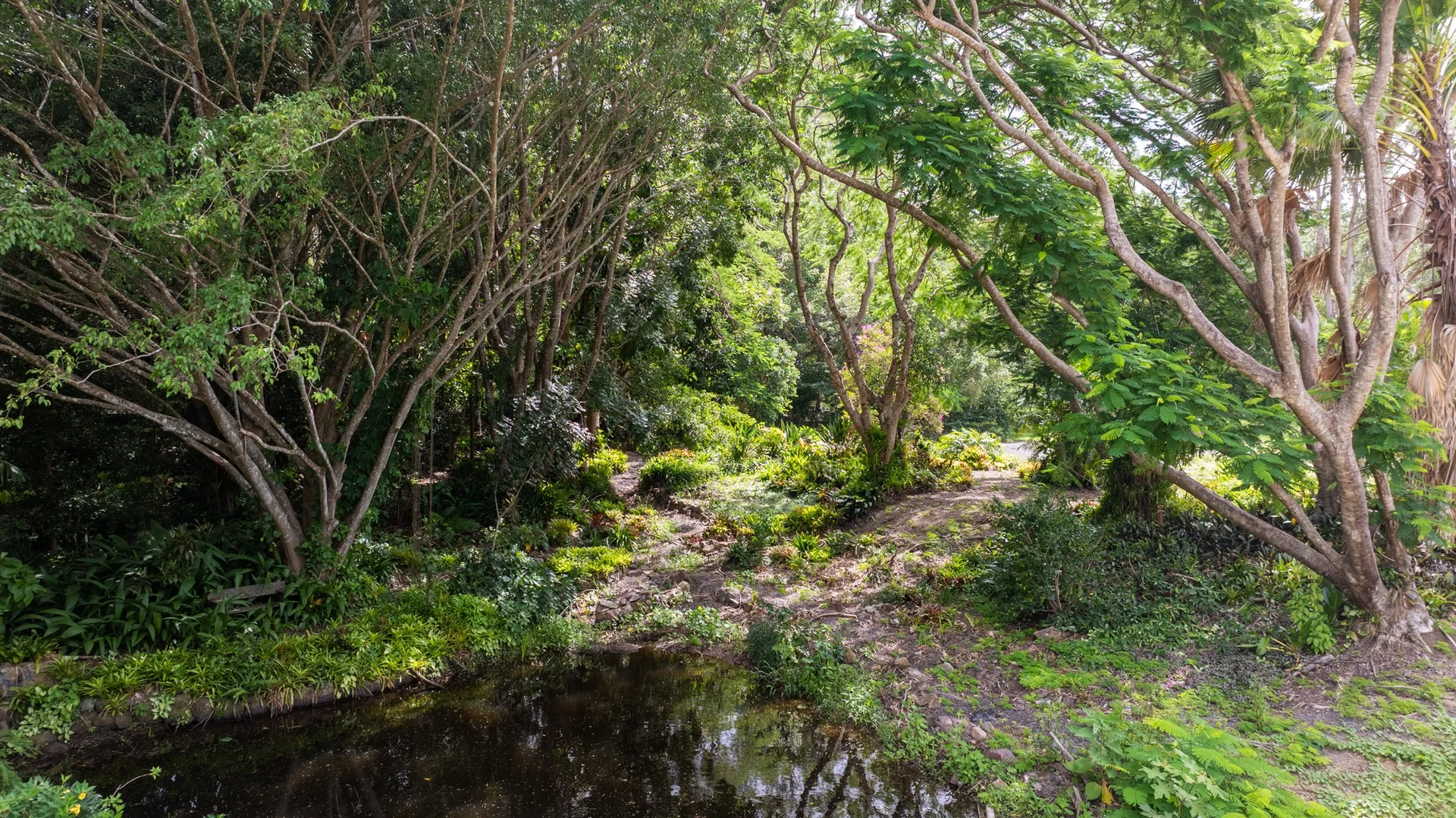 Lot 1/29 Youngs Drive, Doonan QLD 4562