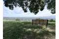 Additional image 50 of 1975 Fair Ridge Ct, Walnut Creek, CA, 94597