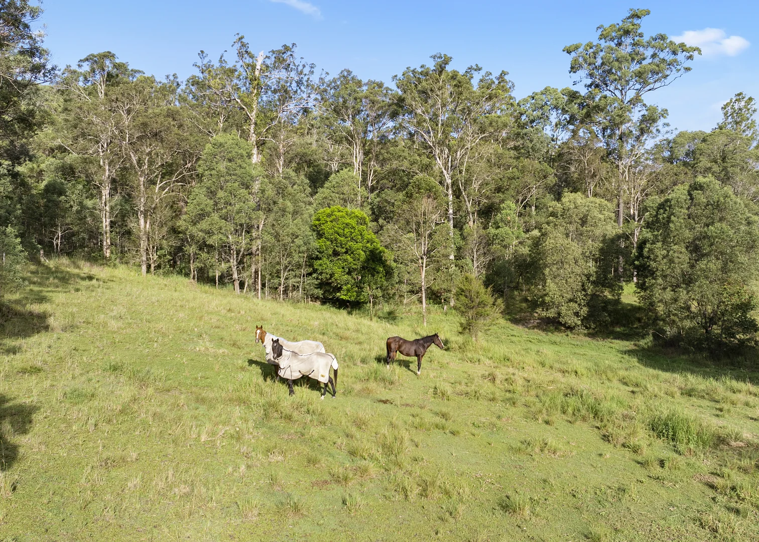 Additional image 9 of Lot 2 Guanaba Creek Road, Guanaba QLD 4210