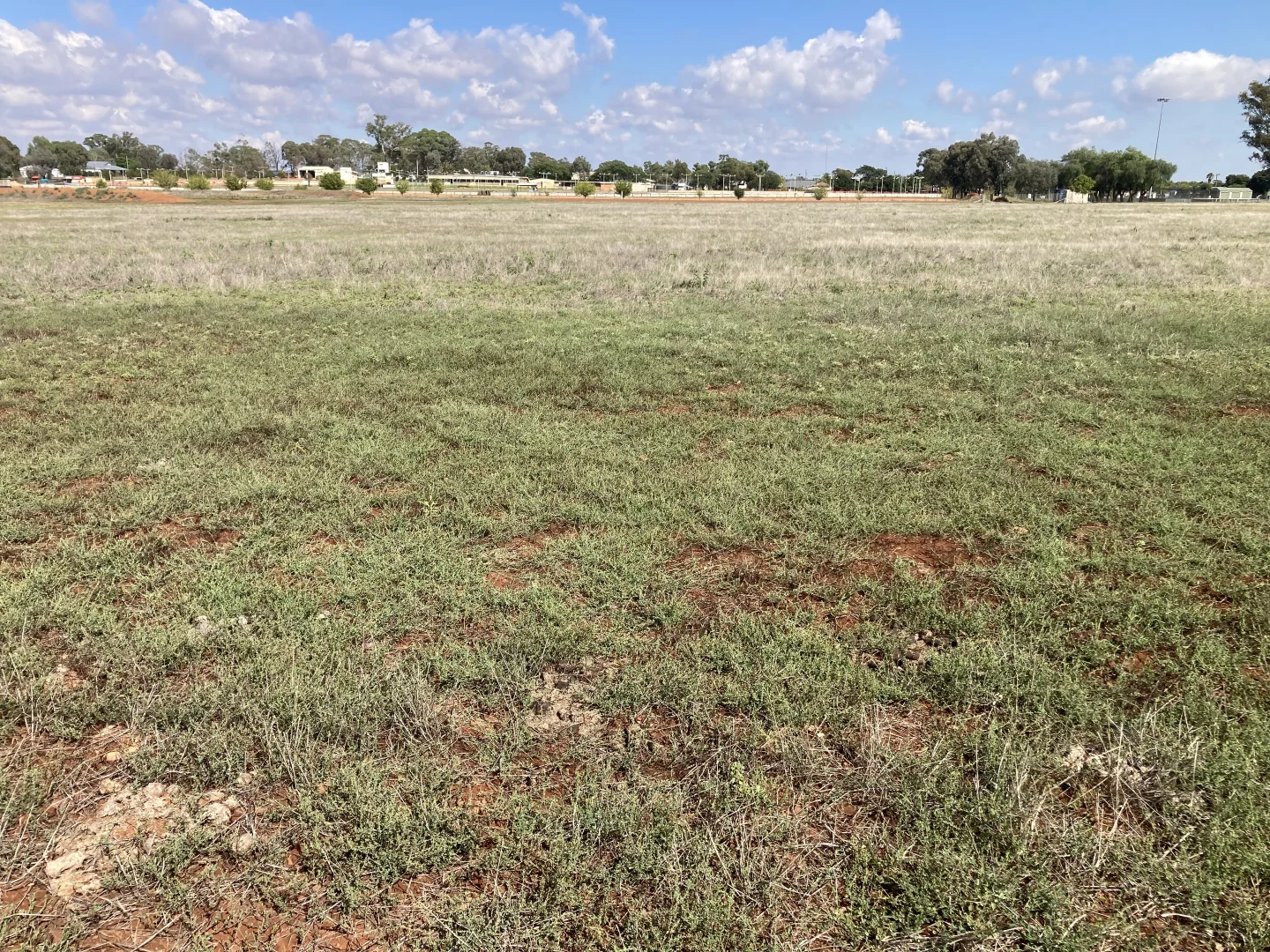 Additional image 3 of Tewkesbury Street, Temora NSW 2666
