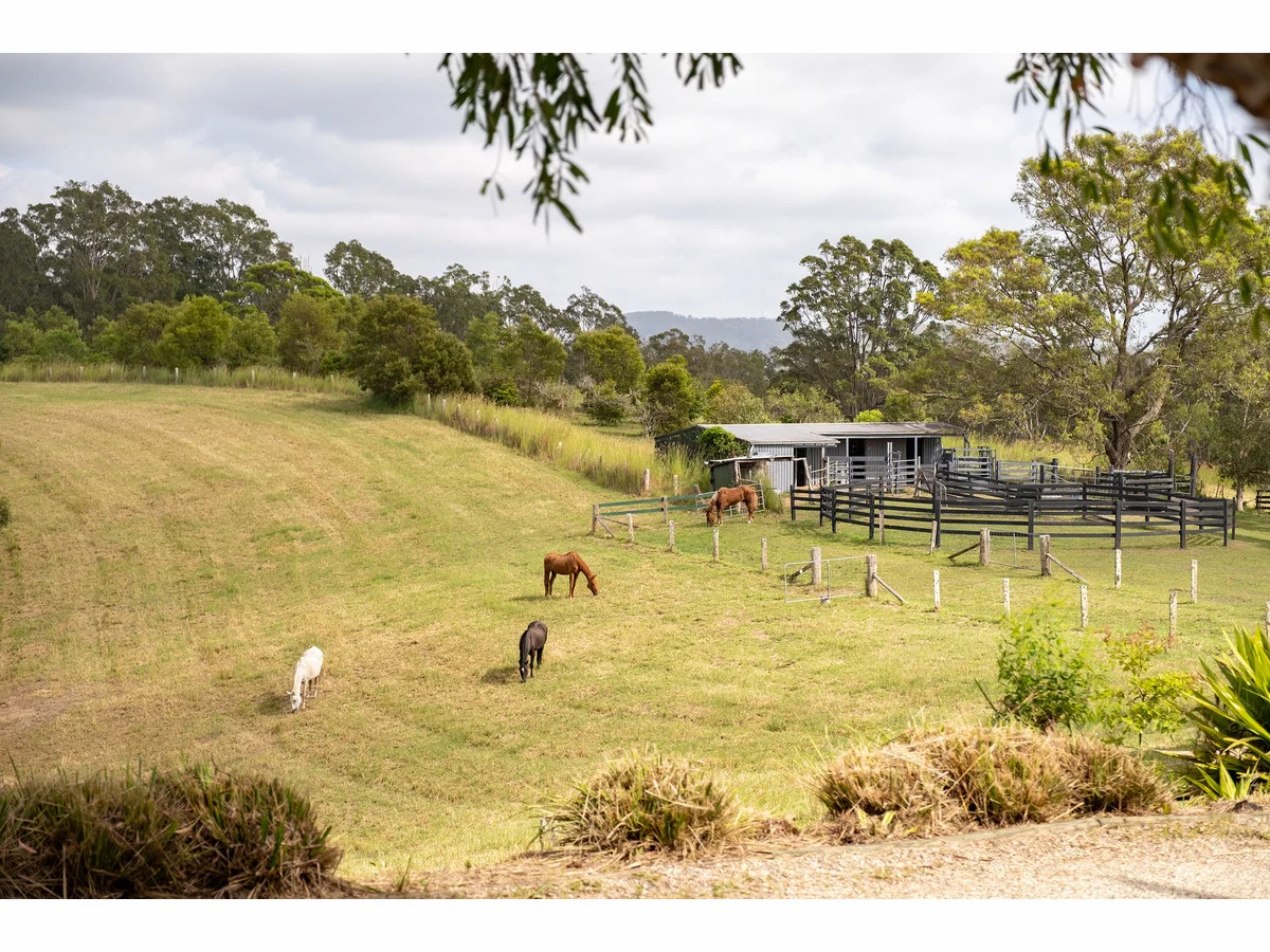 Additional image 19 of 1677 The Lakes Way, Rainbow Flat NSW 2430