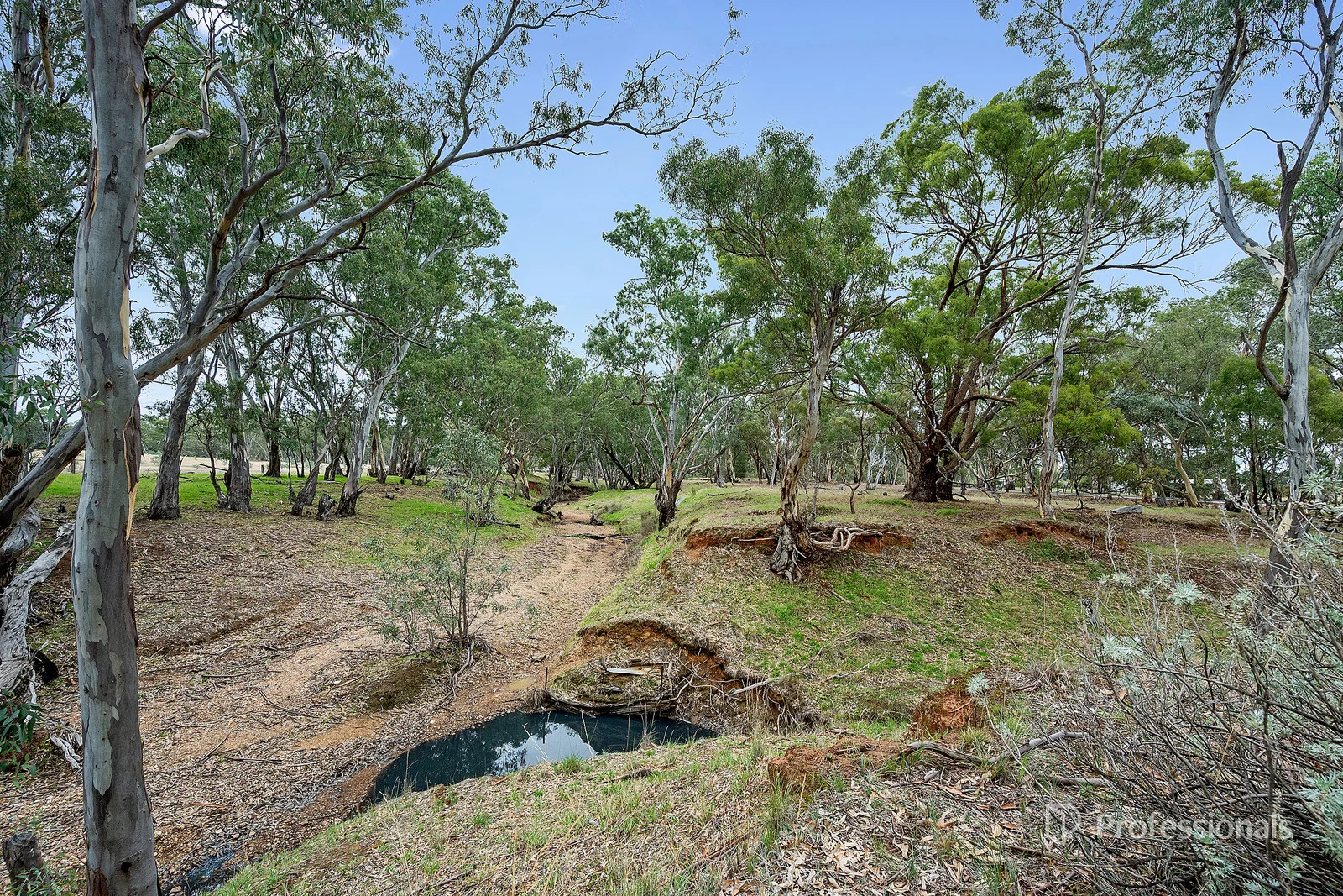 Additional image 6 of 465 Dunolly-Moliagul Road, Dunolly VIC 3472