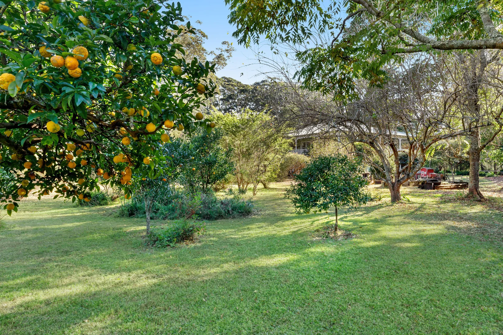 Additional image 20 of 25 Mardi Road, Mardi NSW 2259