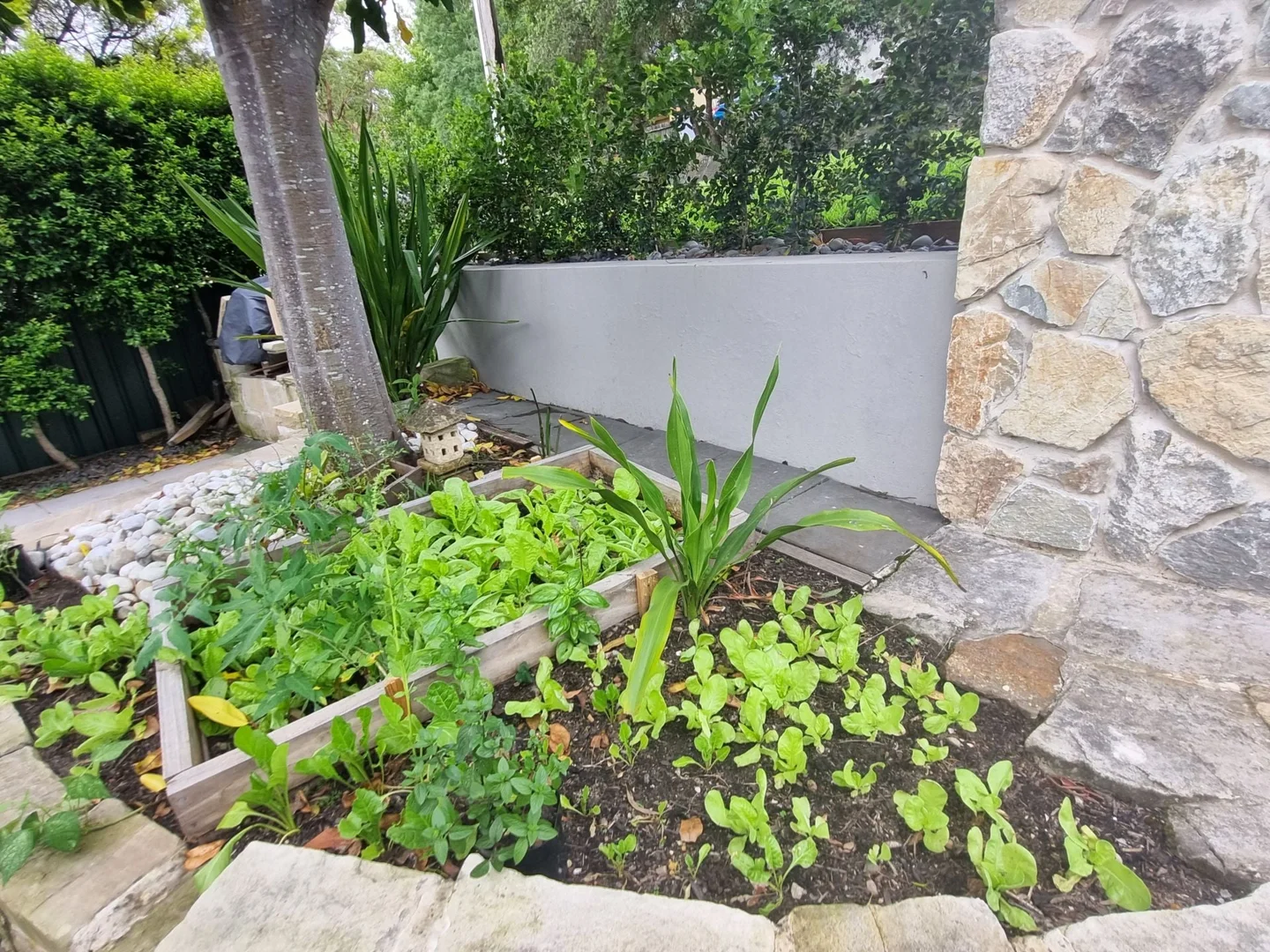 Additional image 30 of 100 Matson Crescent, Miranda NSW 2228