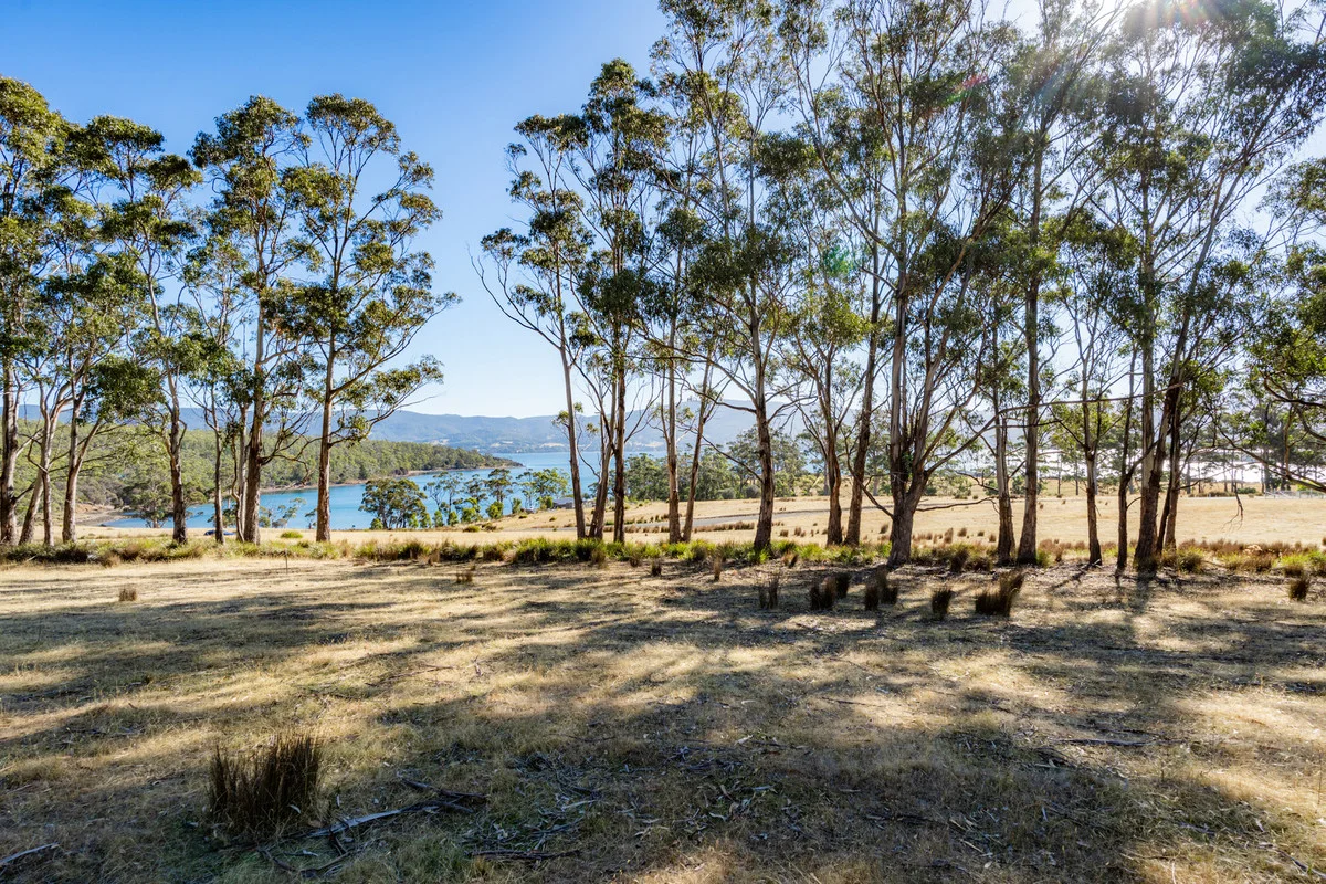 Additional image 12 of 4 D'Entrecasteaux Drive, North Bruny TAS 7150