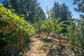Additional image 37 of 18109 236th Ave NE, Woodinville, WA, 98077