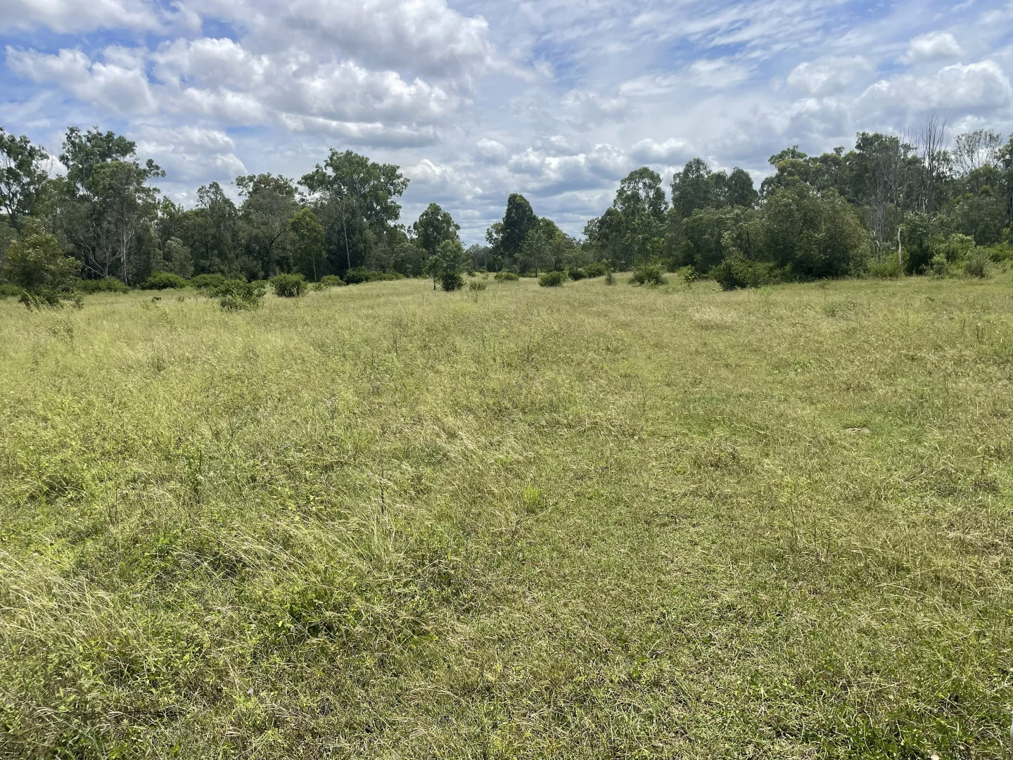 Additional image 19 of 99 Valley Run Road, Boyne Valley QLD 4680