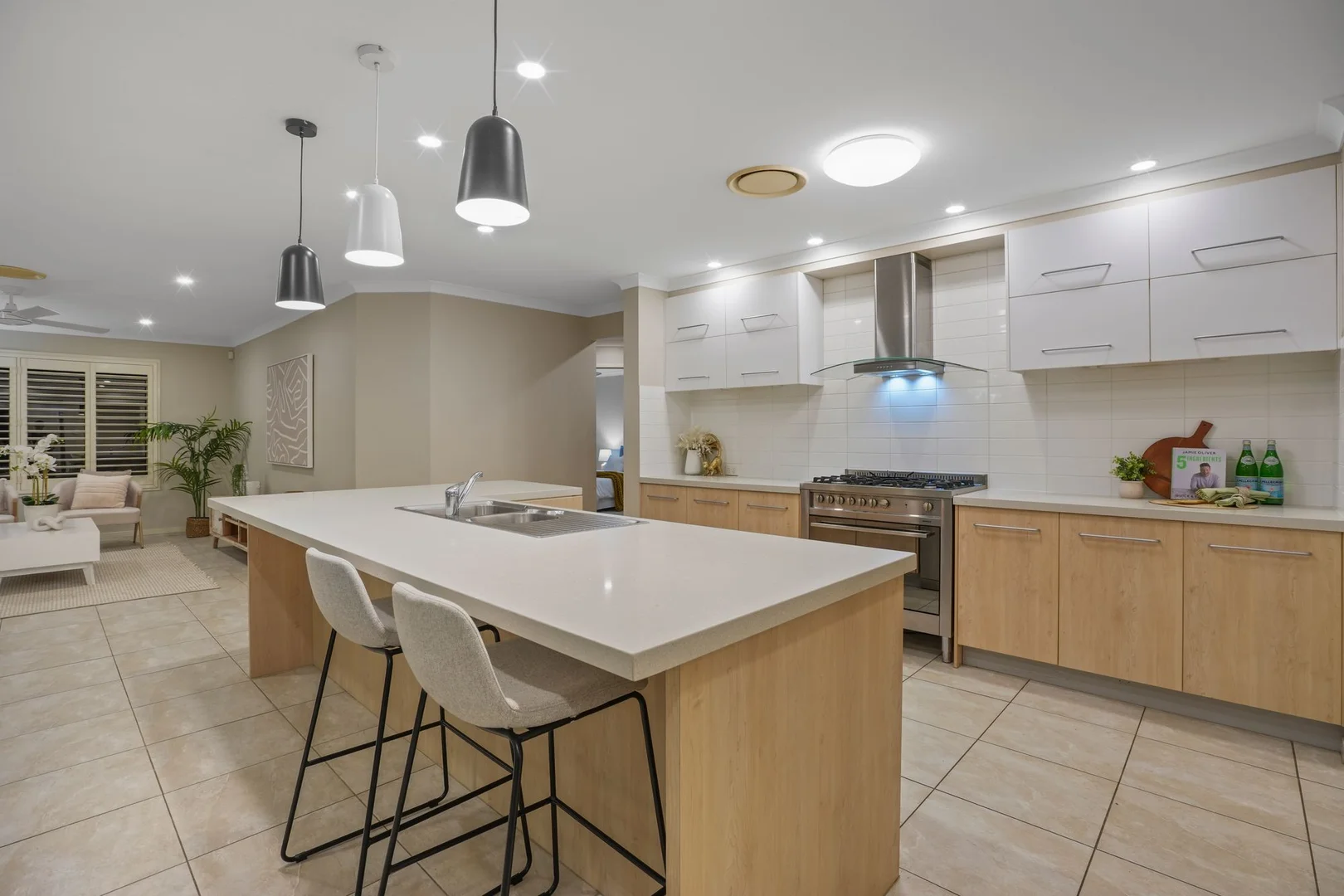 Additional image 8 of 17 Ash Avenue, Springfield Lakes QLD 4300