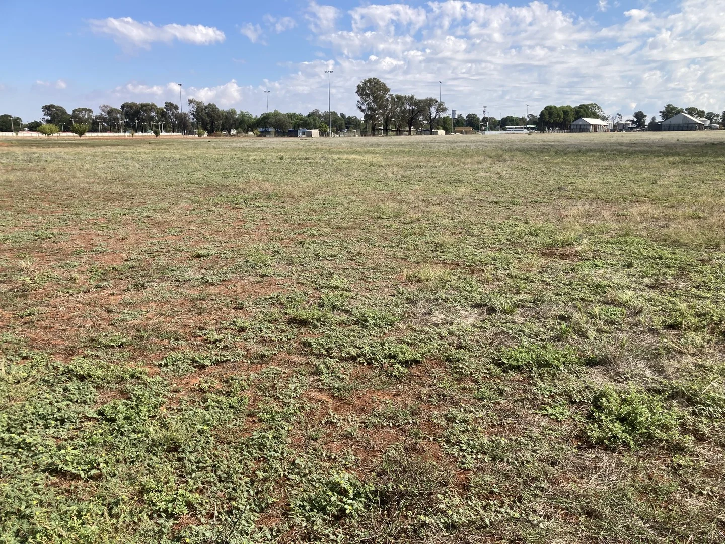 Tewkesbury Street, Temora NSW 2666