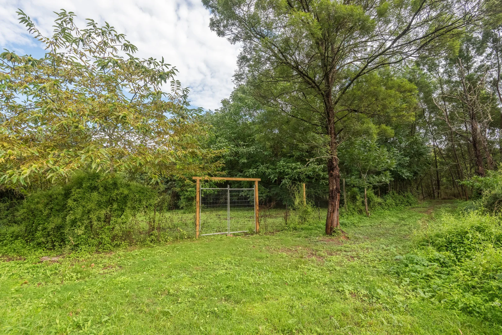 Additional image 15 of 2600 Araluen Road, Deua River Valley NSW 2537