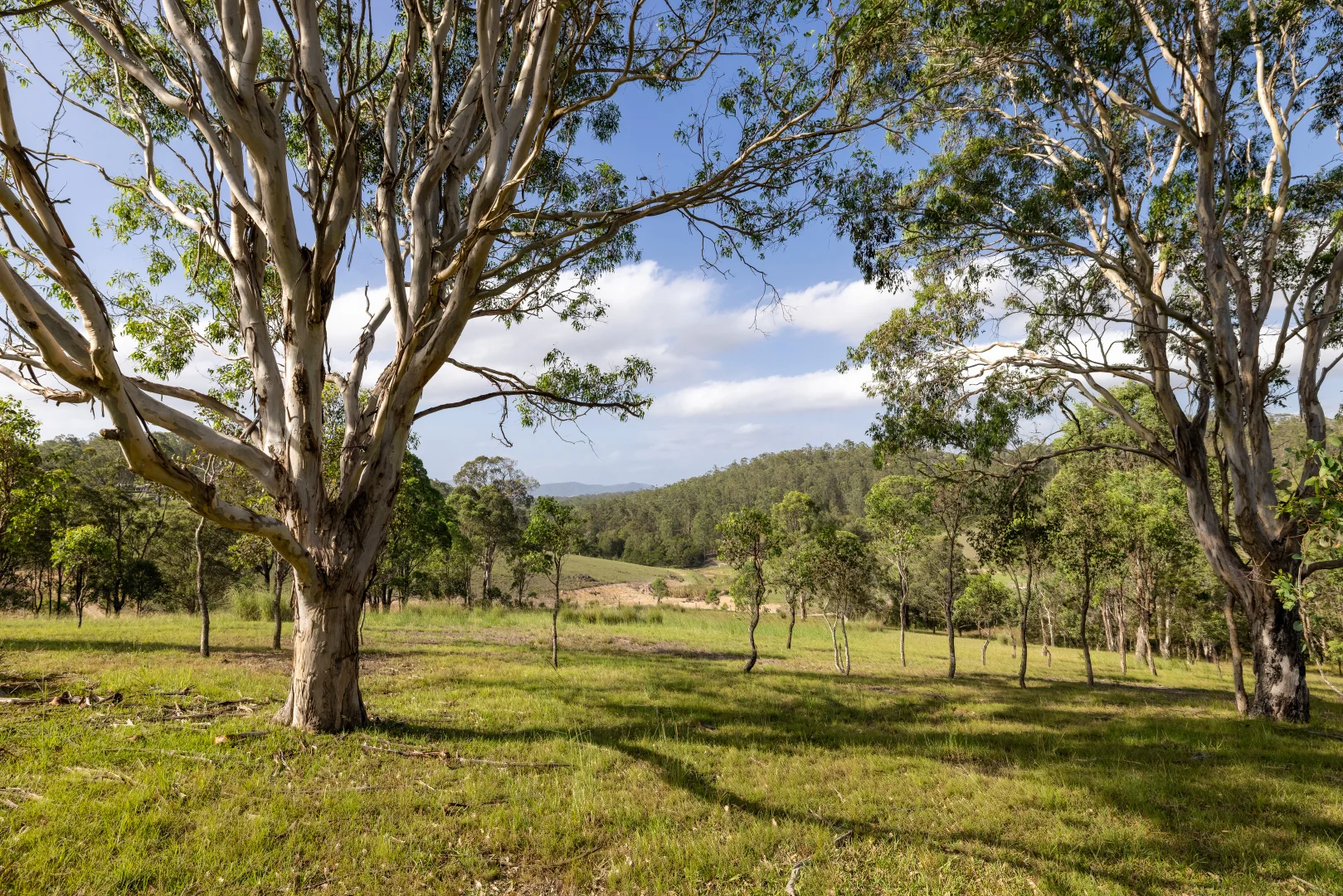 Additional image 21 of 97 Bulby Close, Wang Wauk NSW 2423