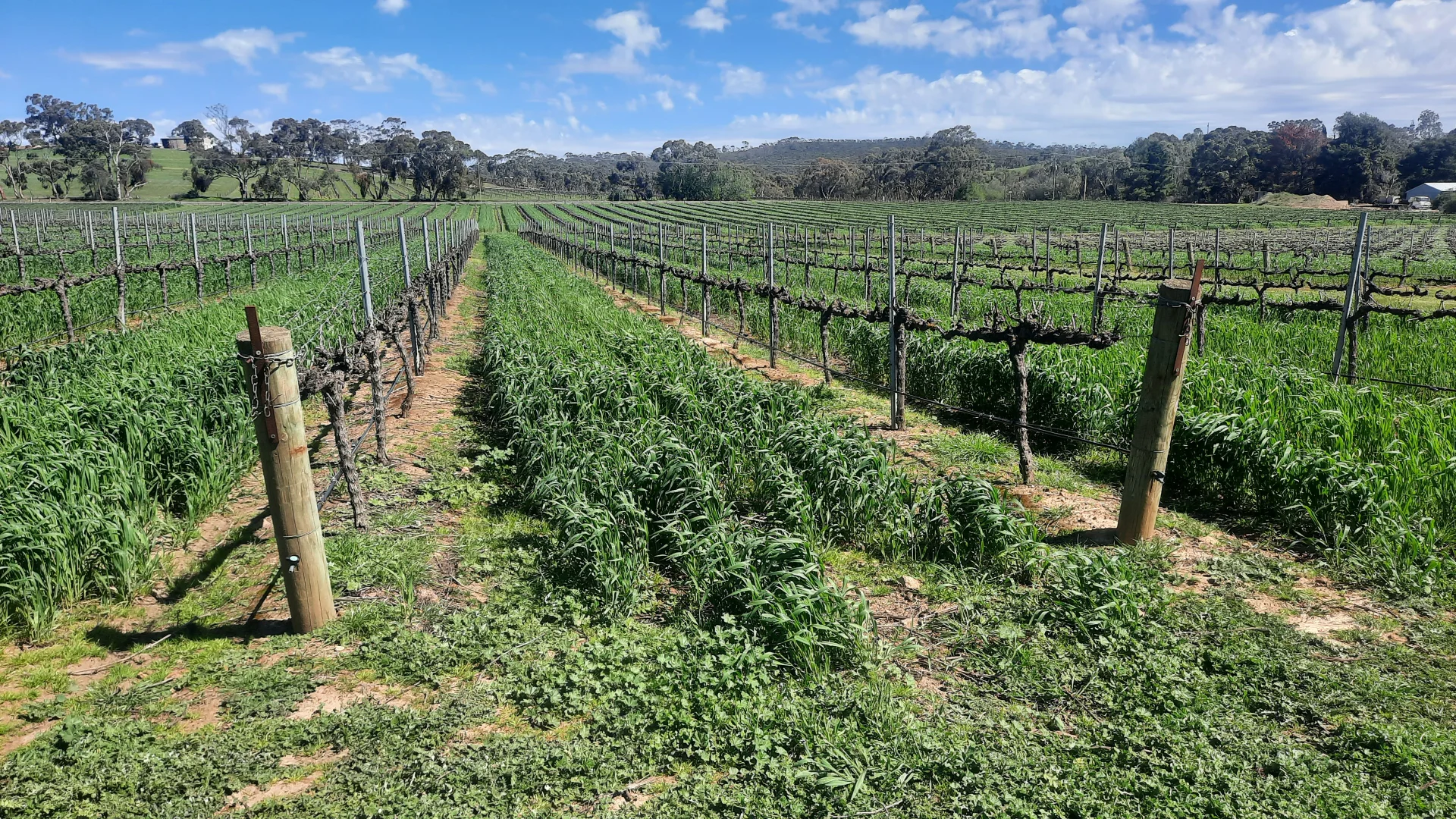 Additional image 10 of 285 Neagles Rock Road, Clare SA 5453