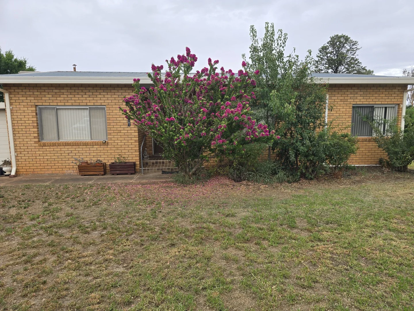 101 ORANGE STREET, Condobolin NSW 2877
