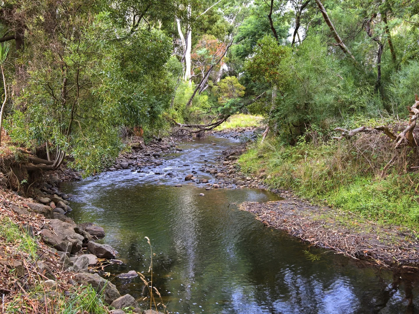 Additional image 2 of 47 Wylie Street, Taggerty VIC 3714