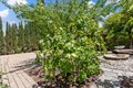 Additional image 66 of 11 Loganberry Ct, Sacramento, CA, 95835