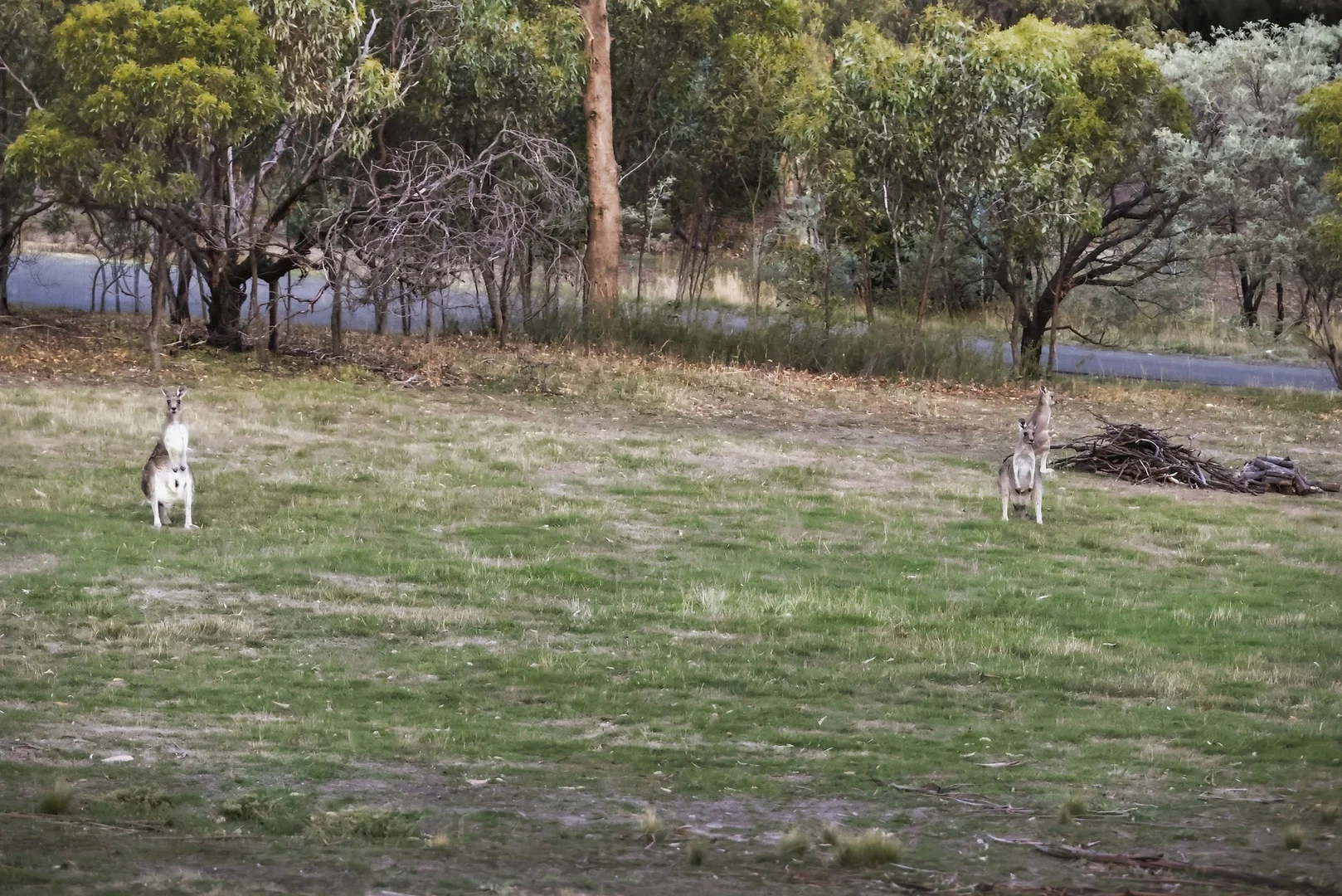 Additional image 24 of 65 Nambour Drive, Sunbury VIC 3429