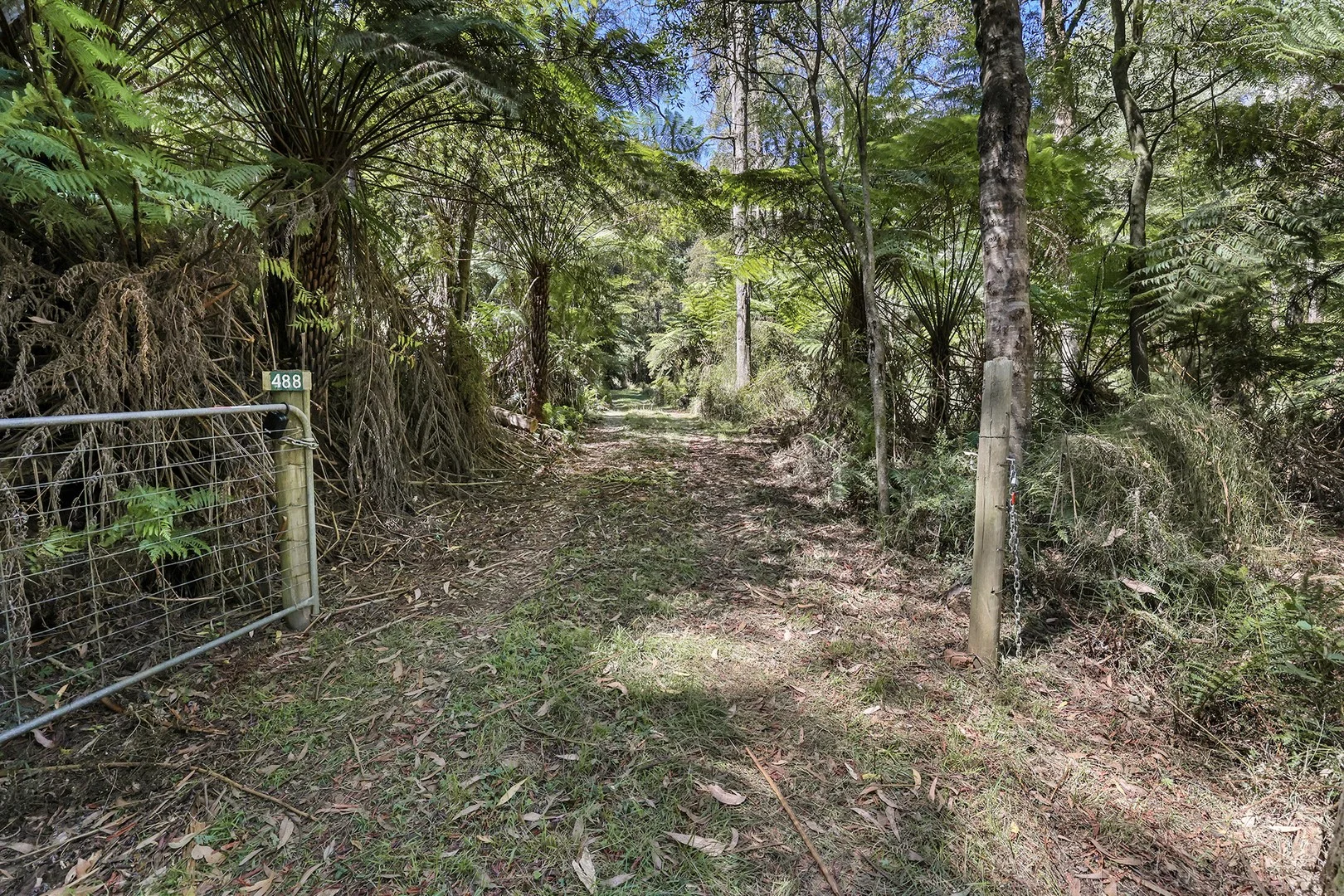 488 Toorongo Valley Road, Noojee VIC 3833