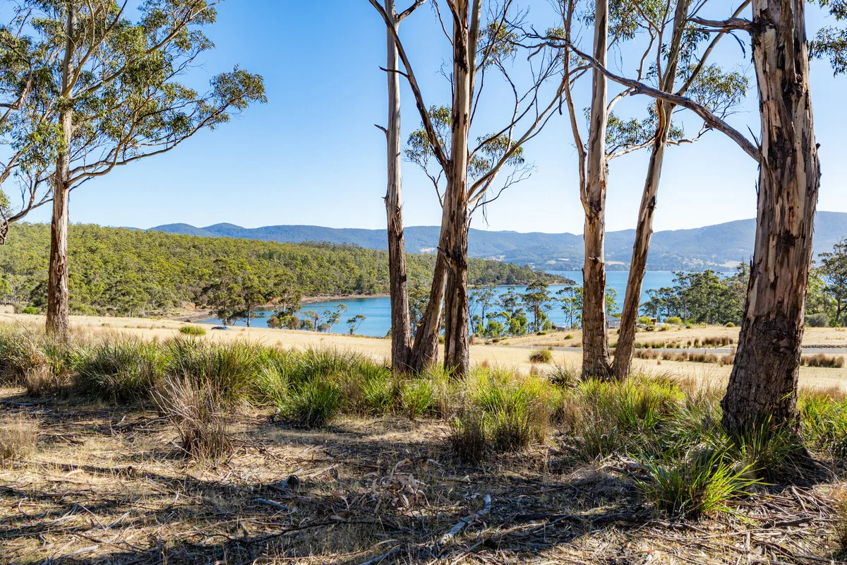 Additional image 11 of 4 D'Entrecasteaux Drive, North Bruny TAS 7150