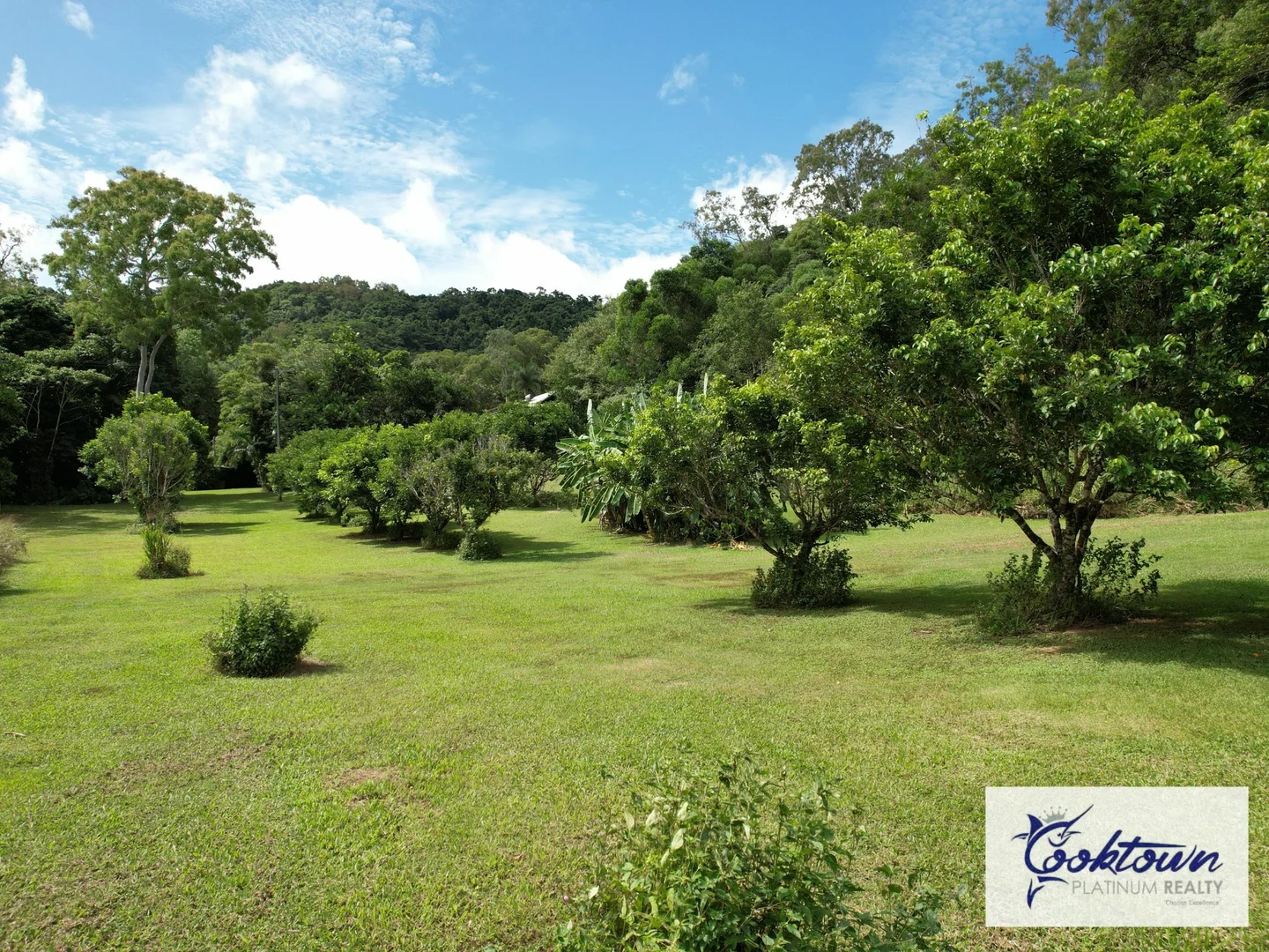Additional image 28 of 2529 Cape Tribulation Bloomfield Rd, Bloomfield QLD 4895