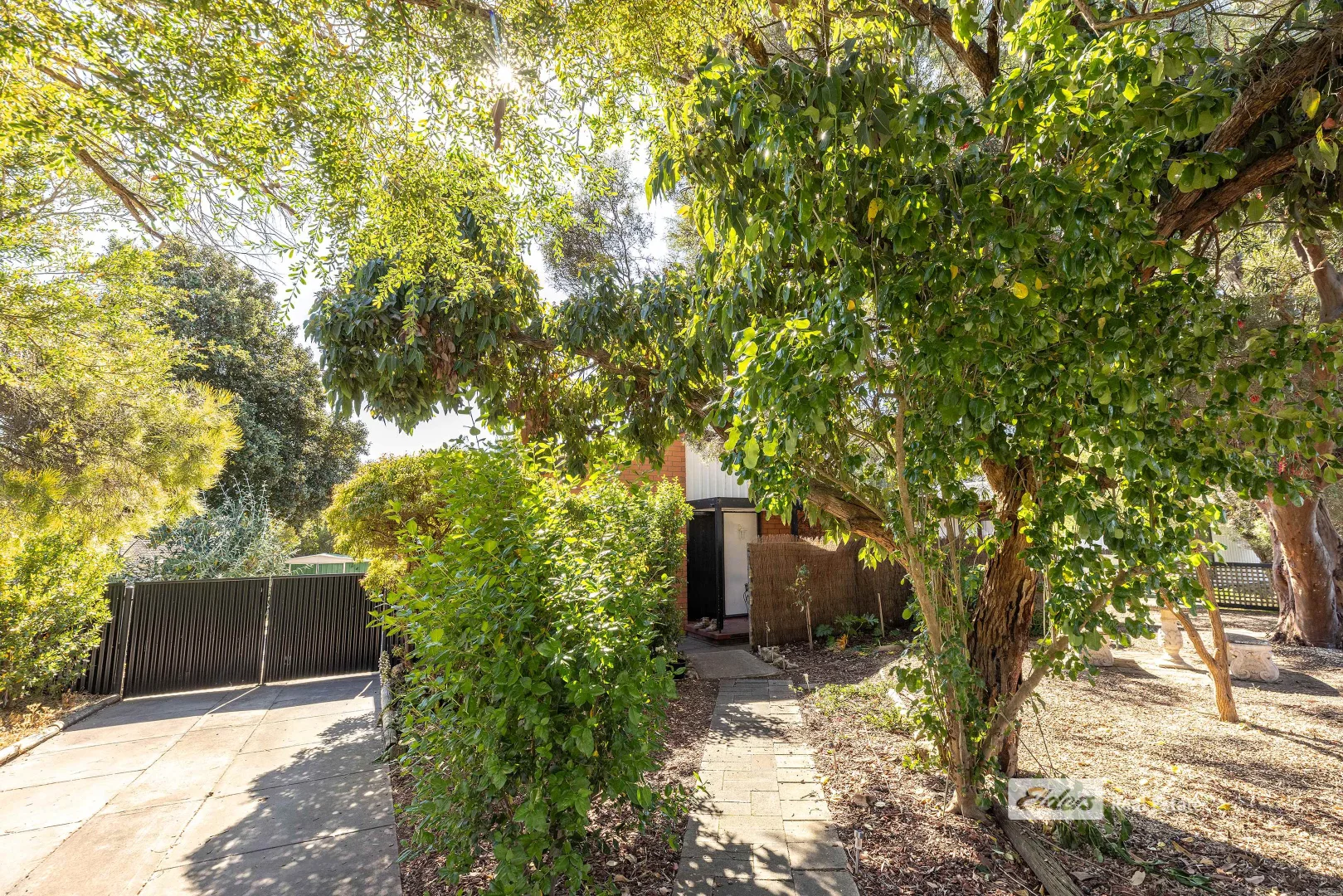 84 Cedar Avenue, Naracoorte SA 5271 photo 2