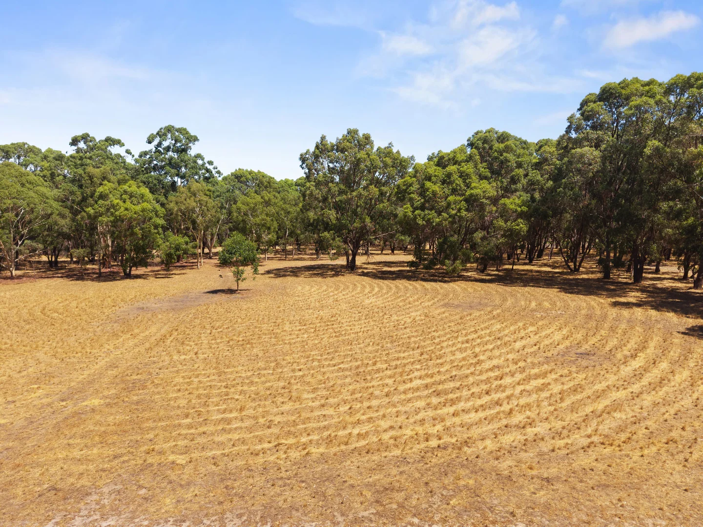 Additional image 16 of Lot 6/338 Fletcher Road, Karnup WA 6176