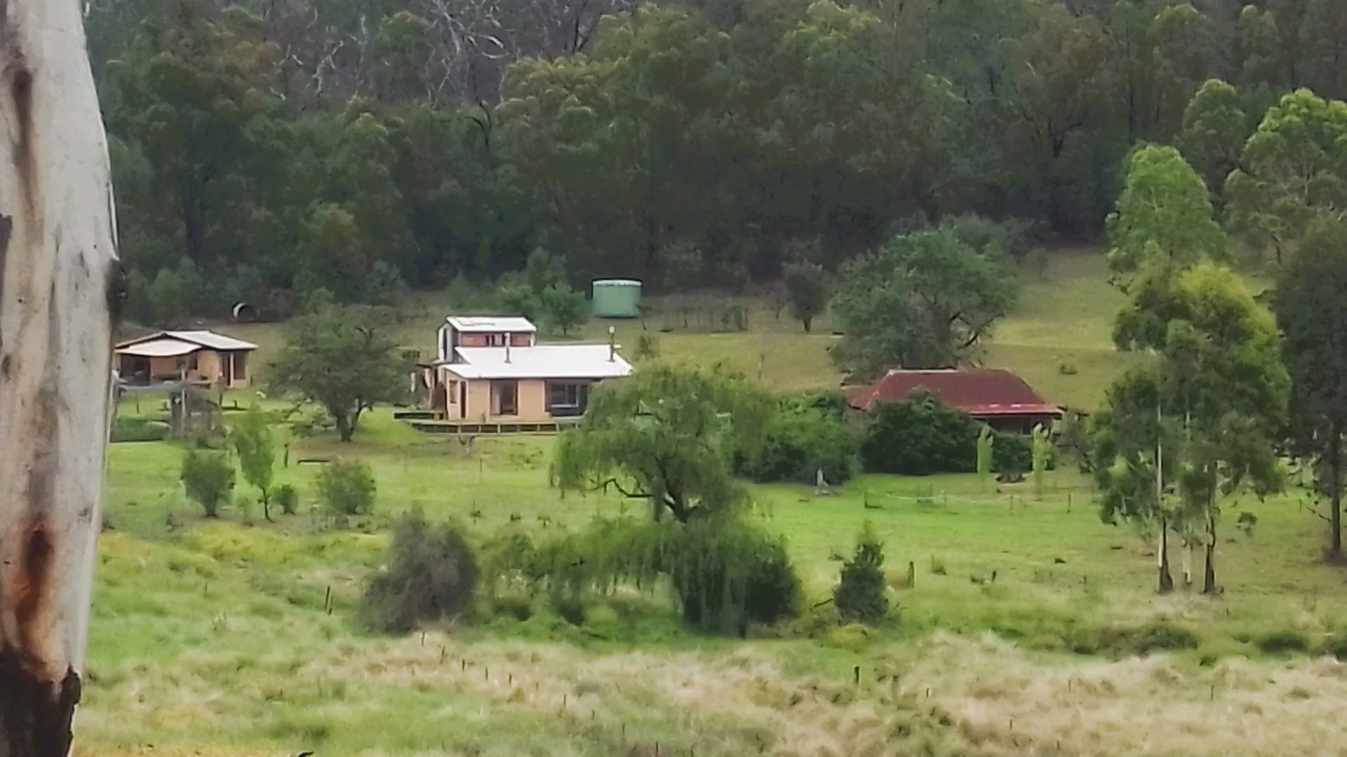 Additional image 2 of 1196 Nullo Mountain Rd, Nullo Mountain NSW 2849