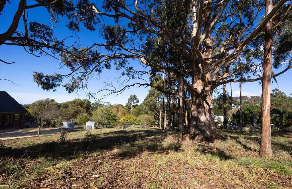 Additional image 4 of 20 Stanley Street, Gordon VIC 3345