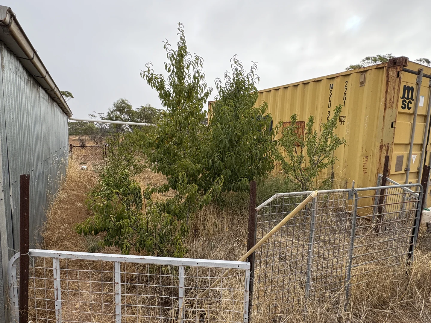 Additional image 11 of Lot 104 Cant Road, Kimba SA 5641
