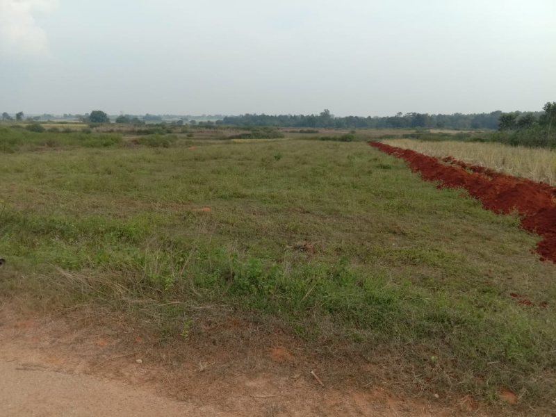 Additional image 2 of Ginjo Thakurgaon, Ranchi