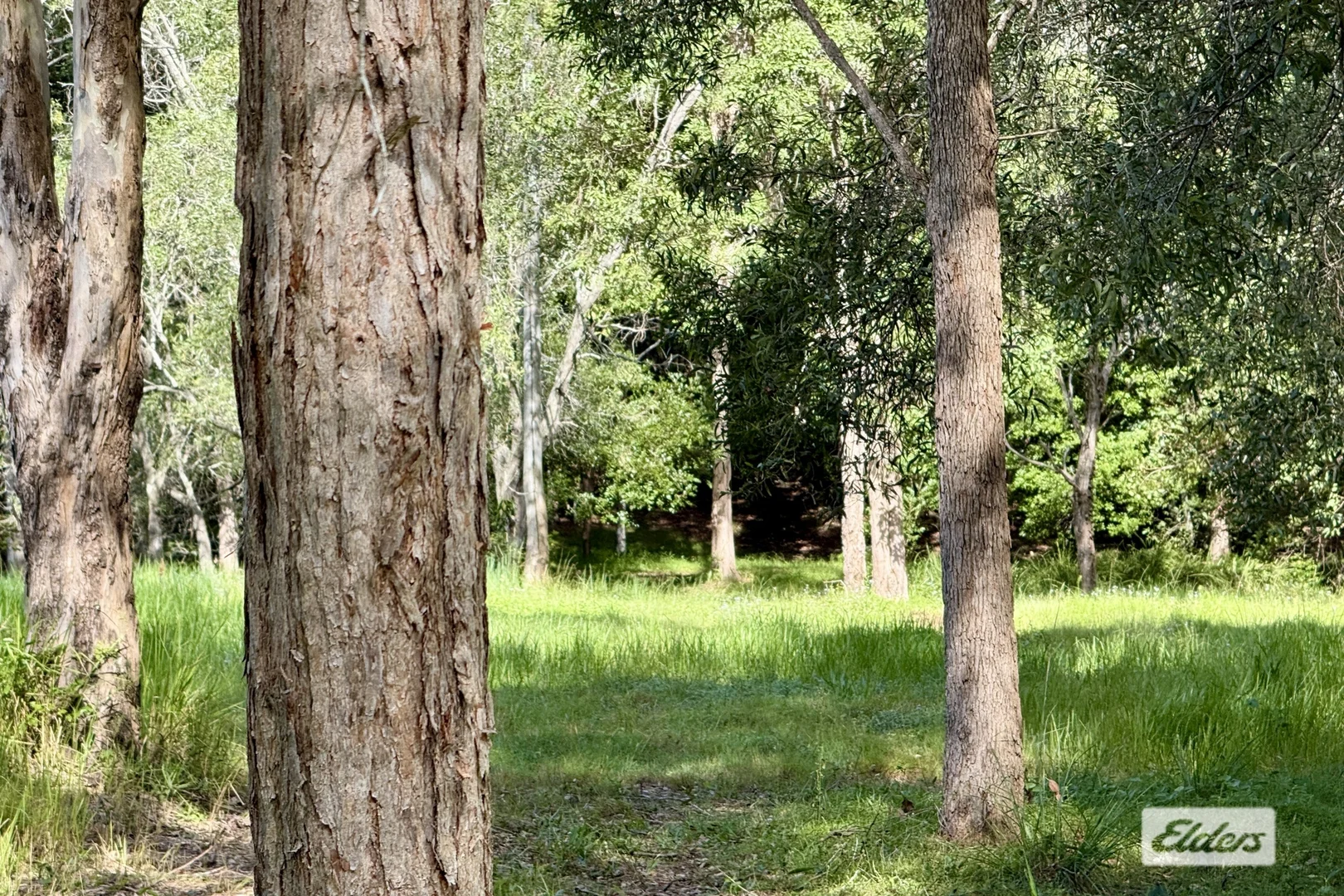 Additional image 31 of 54 Kinen Lane, Canina QLD 4570