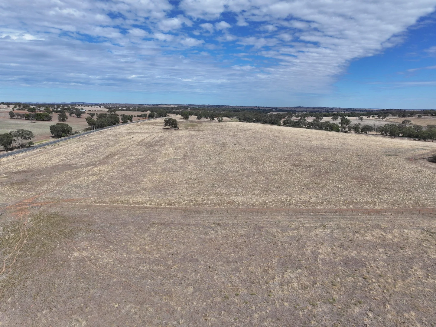 Additional image 12 of 1274 Canola Way, Marrar NSW 2652