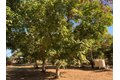 Additional image 43 of 700 Wellsford Rd, Modesto, CA, 95357