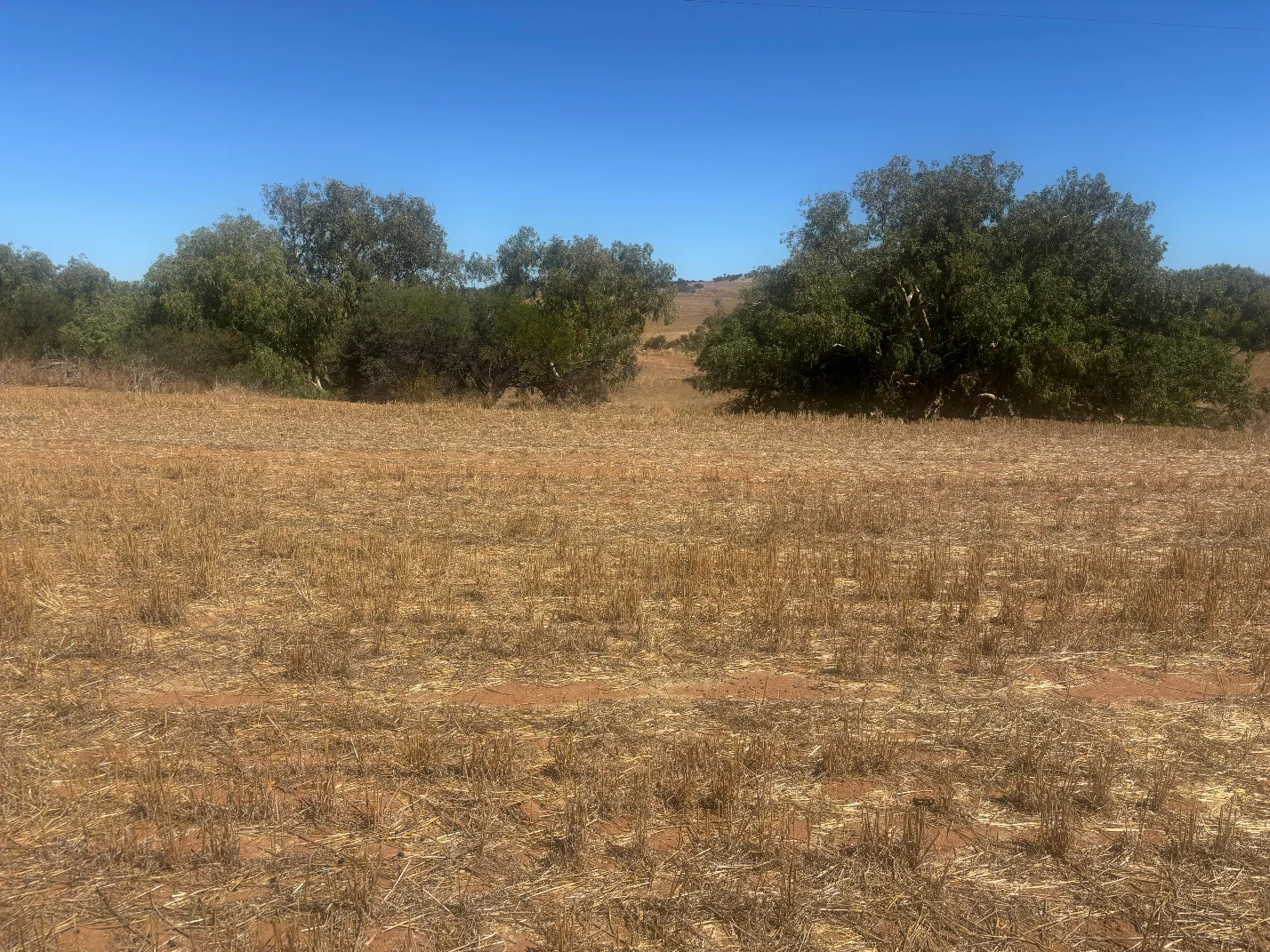 Additional image 2 of Lot 1 Giles Road, Moonyoonooka WA 6532