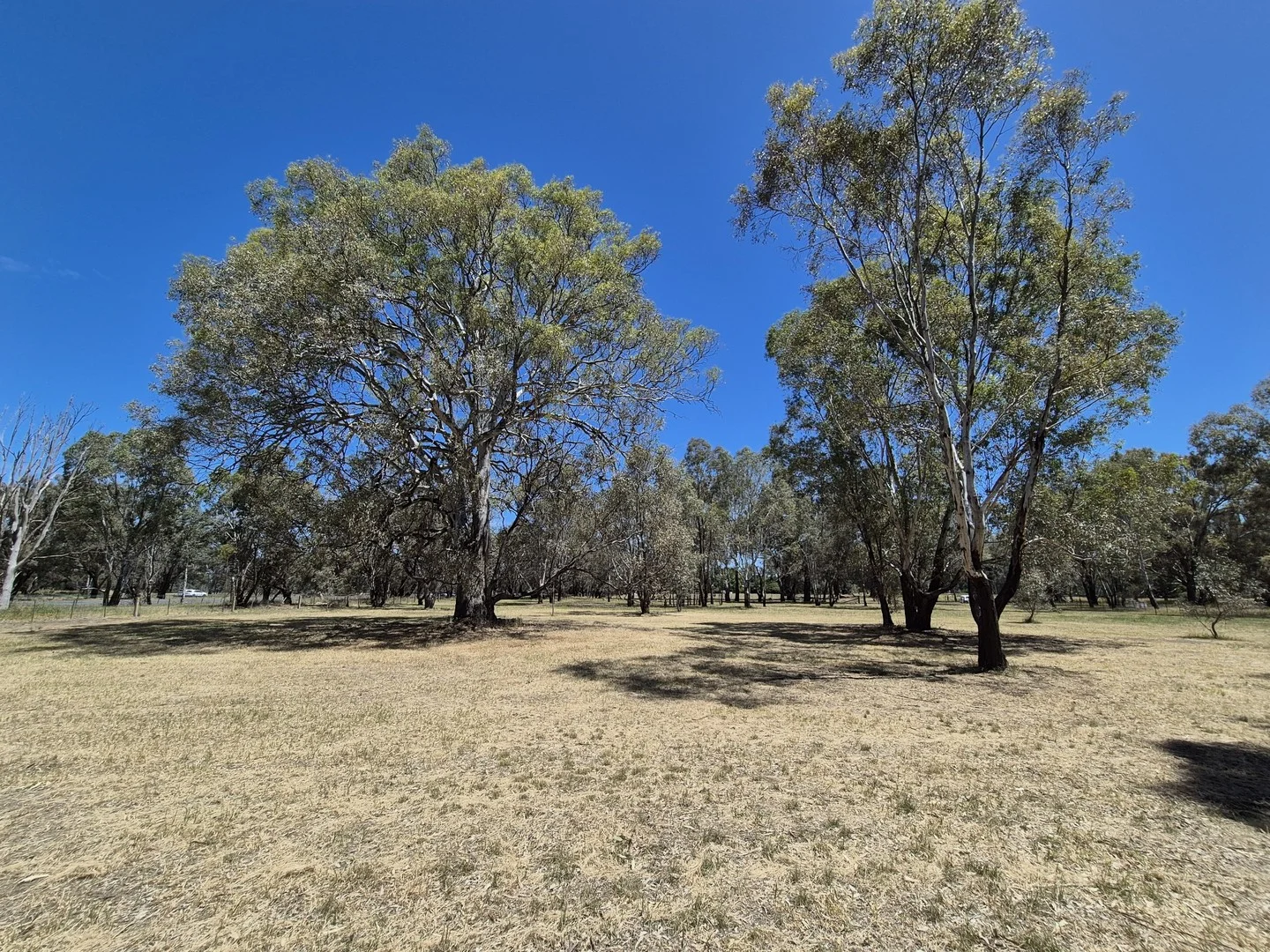 1 Irwin Street, Violet Town VIC 3669