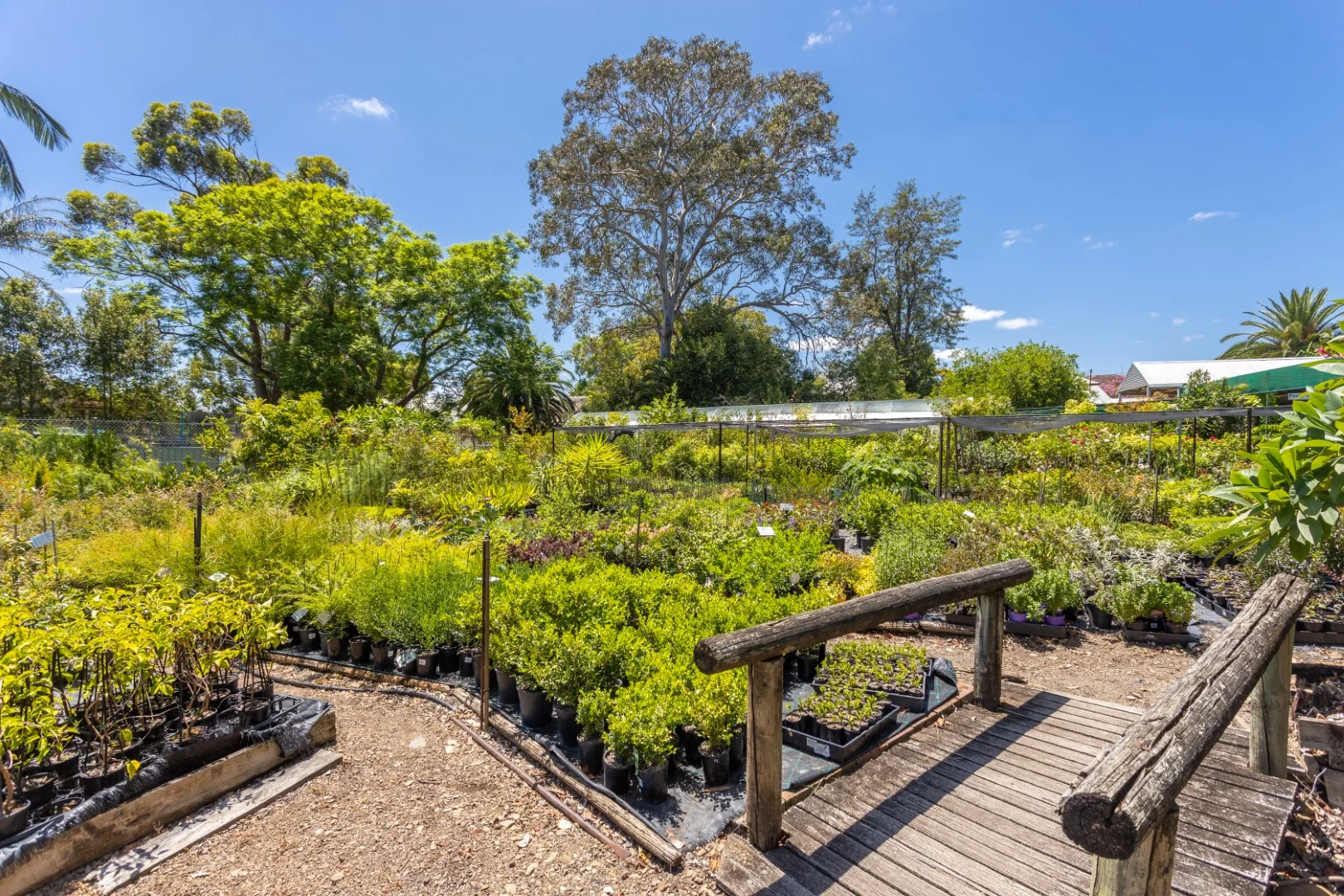 Additional image 8 of 1-5 William Street, Wingham NSW 2429