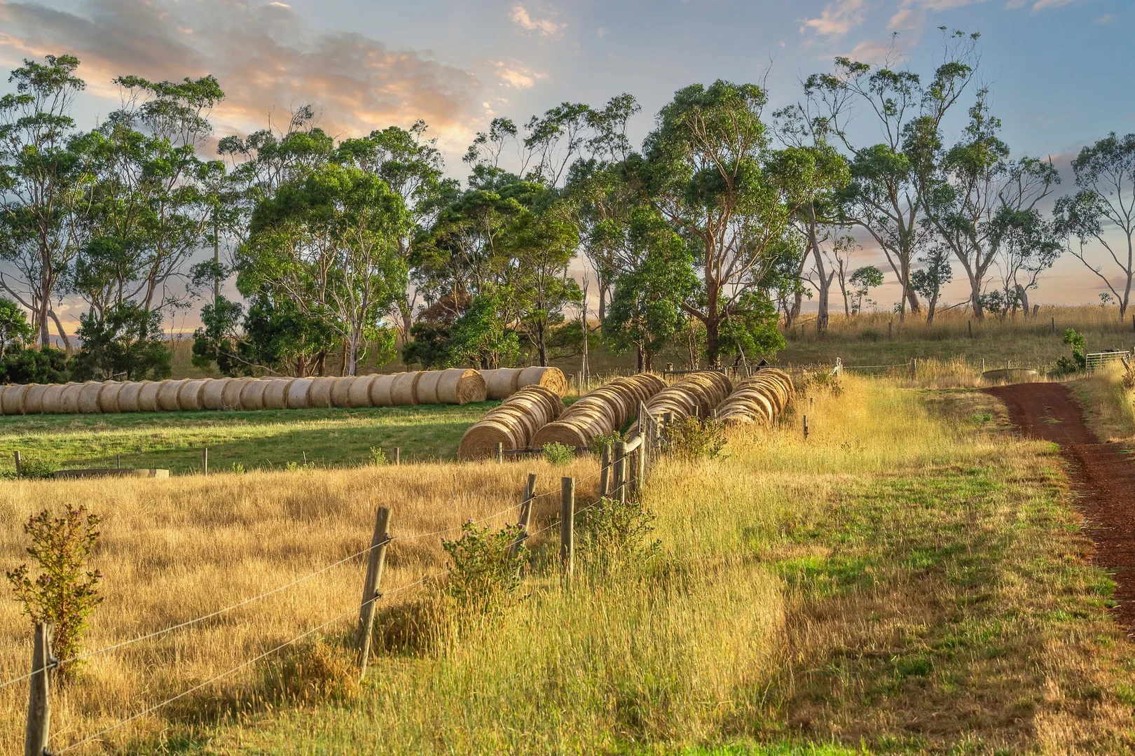 Additional image 24 of 100 Sunday Ridge Road, Simpson VIC 3266