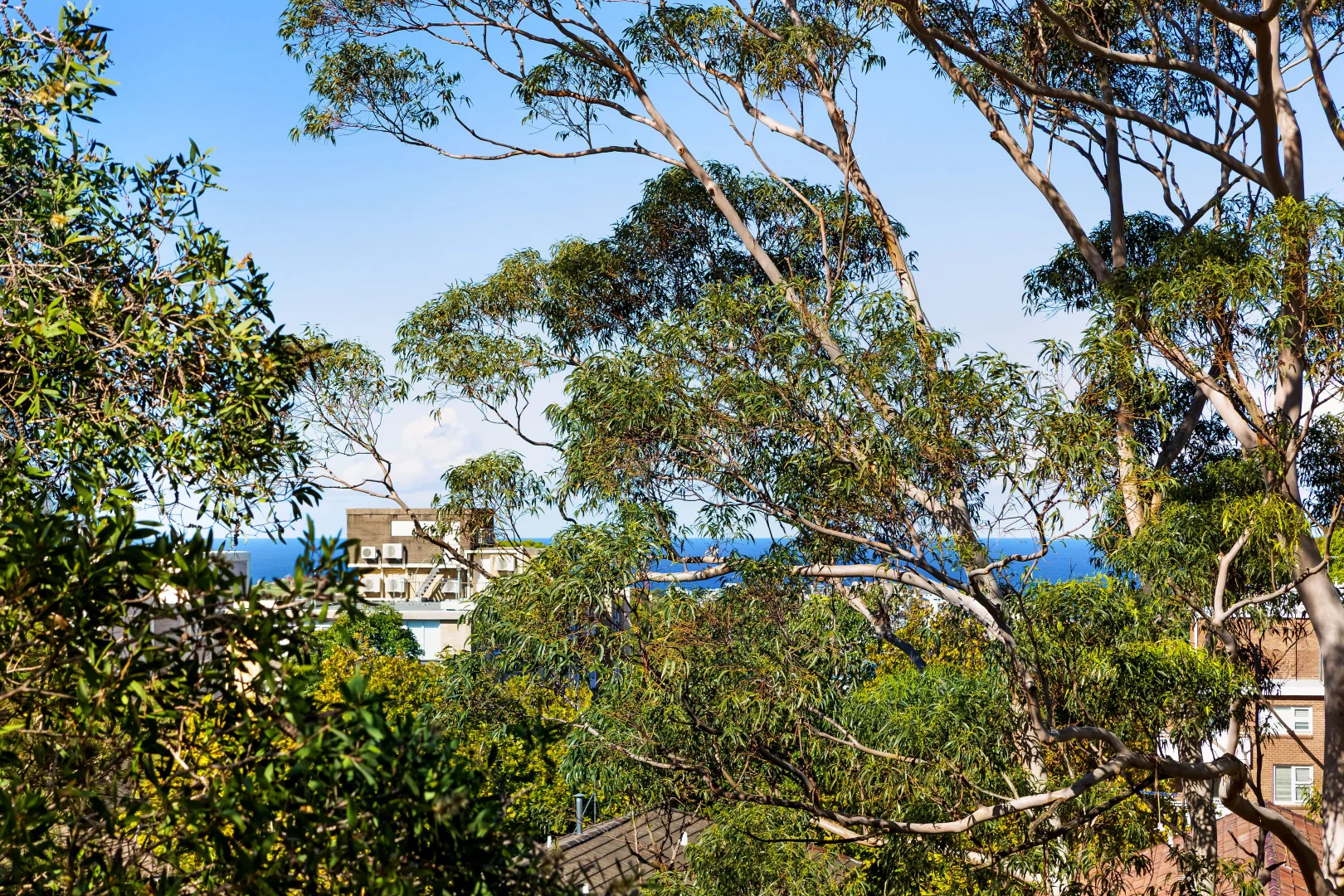 Additional image 6 of 17/36-38 Penkivil Street, Bondi NSW 2026