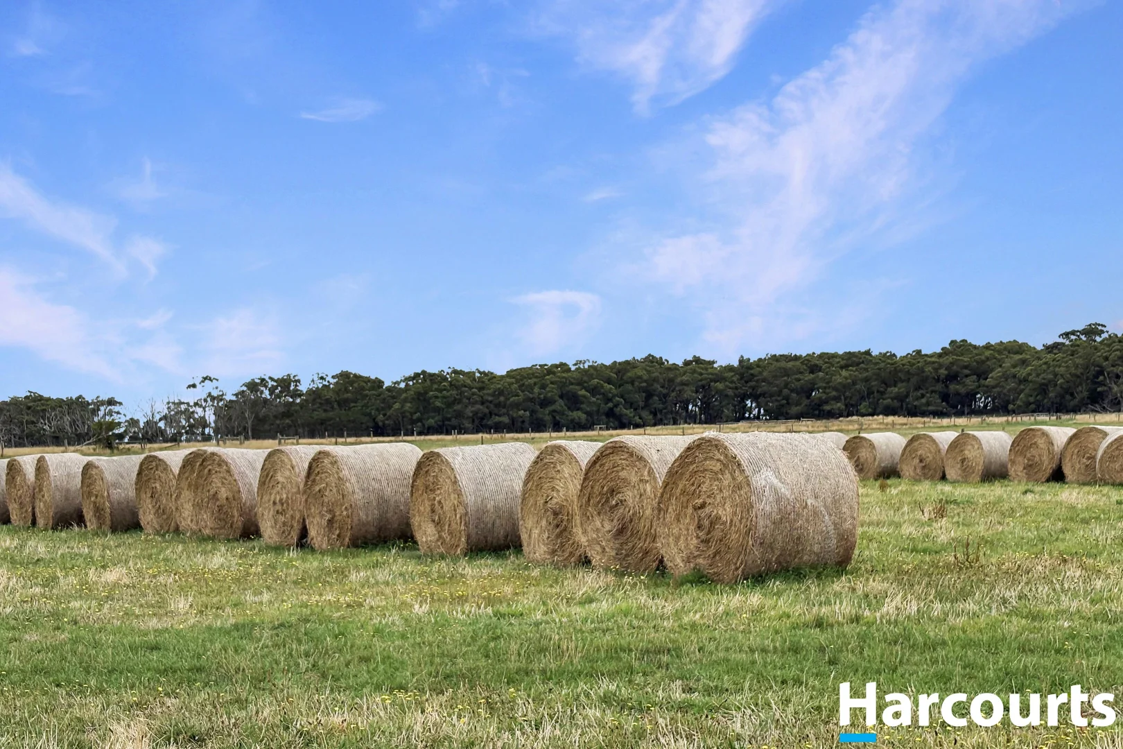 Additional image 6 of 210 Frys Road, Leongatha South VIC 3953