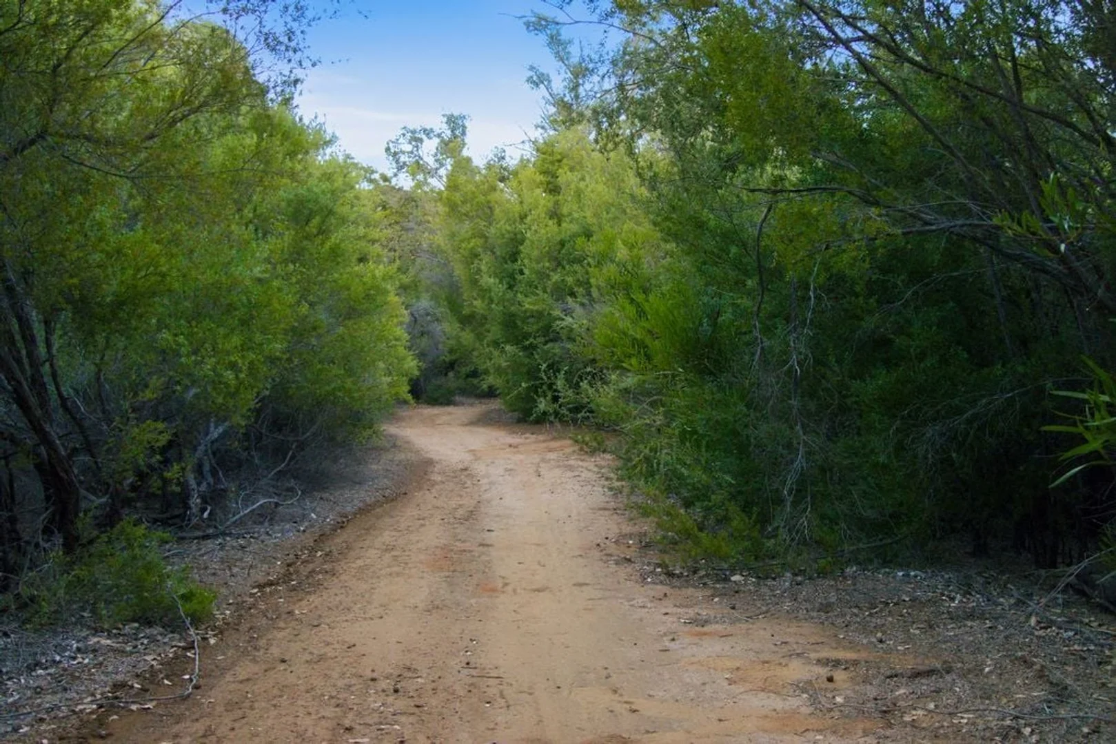 Additional image 21 of 21 Yungarra Drive, Quedjinup WA 6281