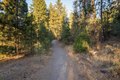 Additional image 43 of 6906 E 10th Ave, Spokane, WA, 99212