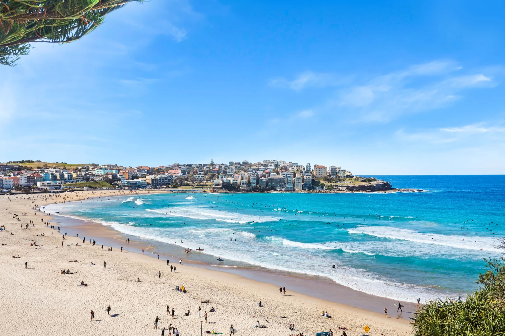 Additional image 12 of 17/36-38 Penkivil Street, Bondi NSW 2026