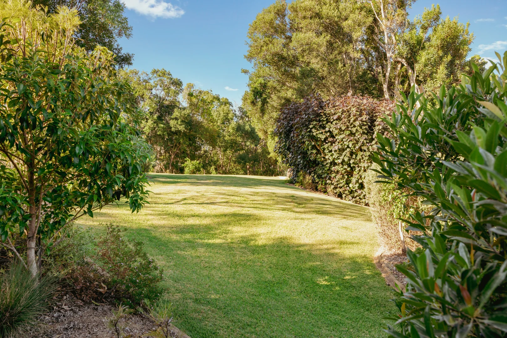 Additional image 45 of 20 Warri Way, Currumbin Valley QLD 4223