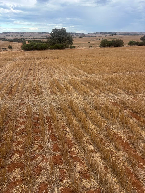 Additional image 4 of Lot 1 Giles Road, Moonyoonooka WA 6532