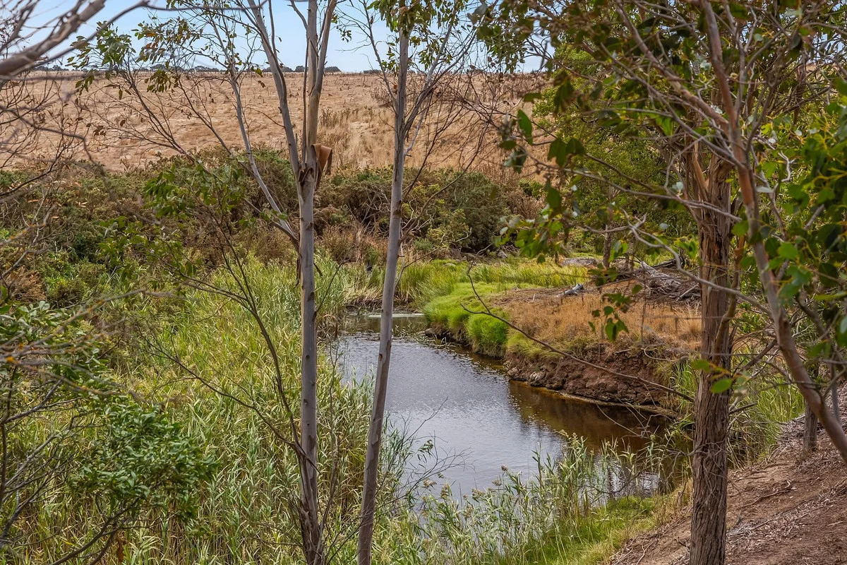 Additional image 4 of 1560 Blackgate Road, Freshwater Creek VIC 3217