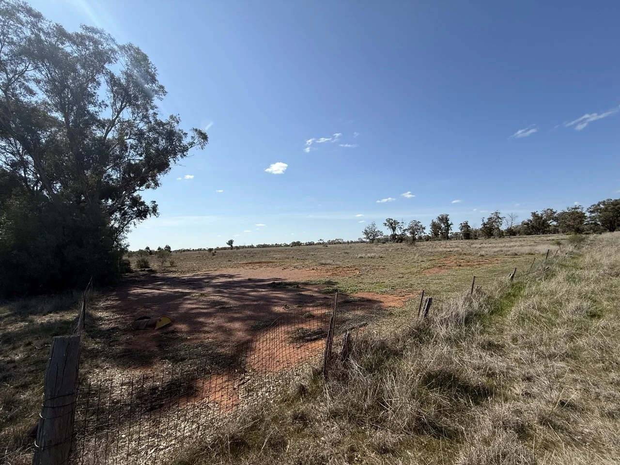 Additional image 2 of 44 Dows Lane, Peak Hill NSW 2869