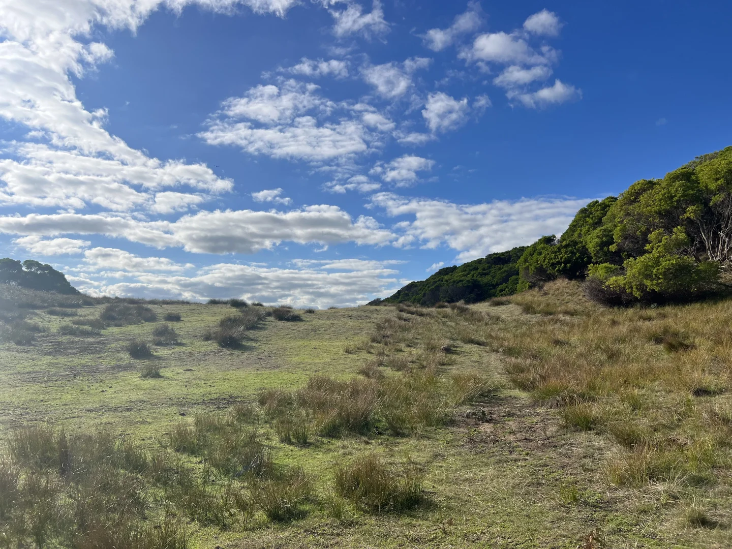 Additional image 4 of 274 South Road, Nugara TAS 7256
