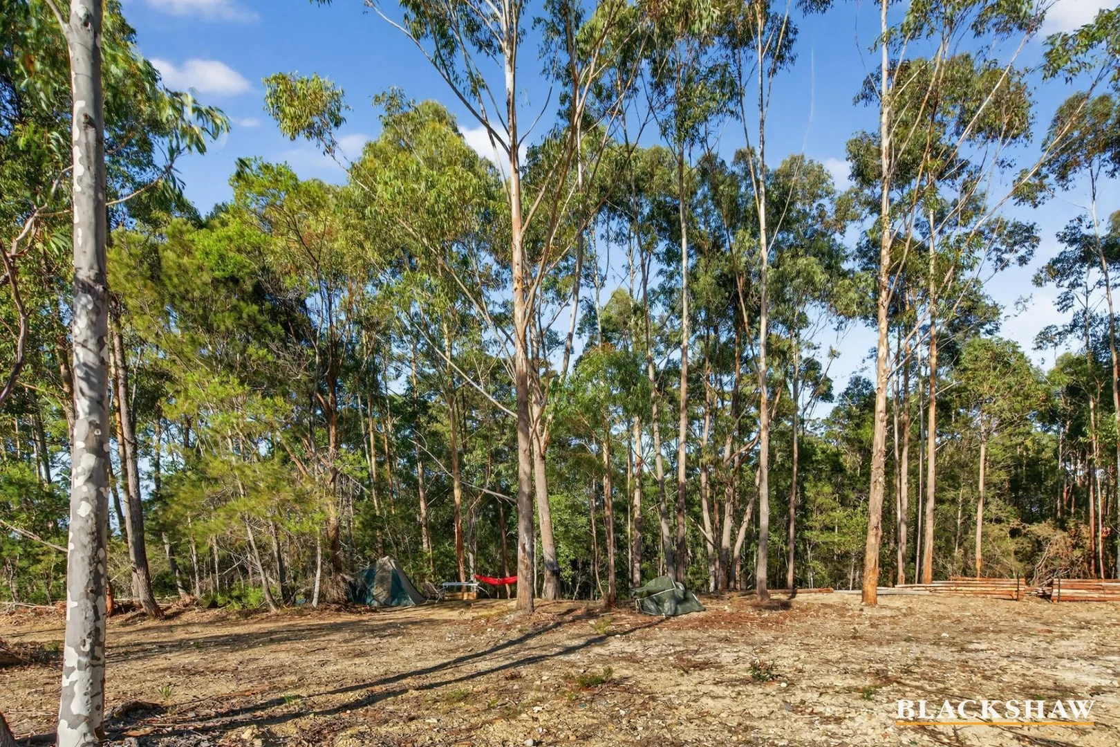 Additional image 7 of 441 Sea Acres Drive, Long Beach NSW 2536