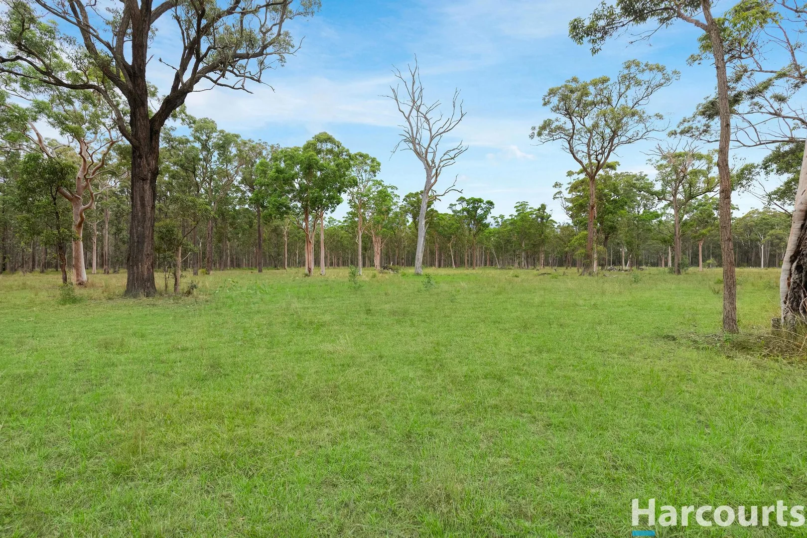 Additional image 29 of 571A The Bucketts Way, Limeburners Creek NSW 2324