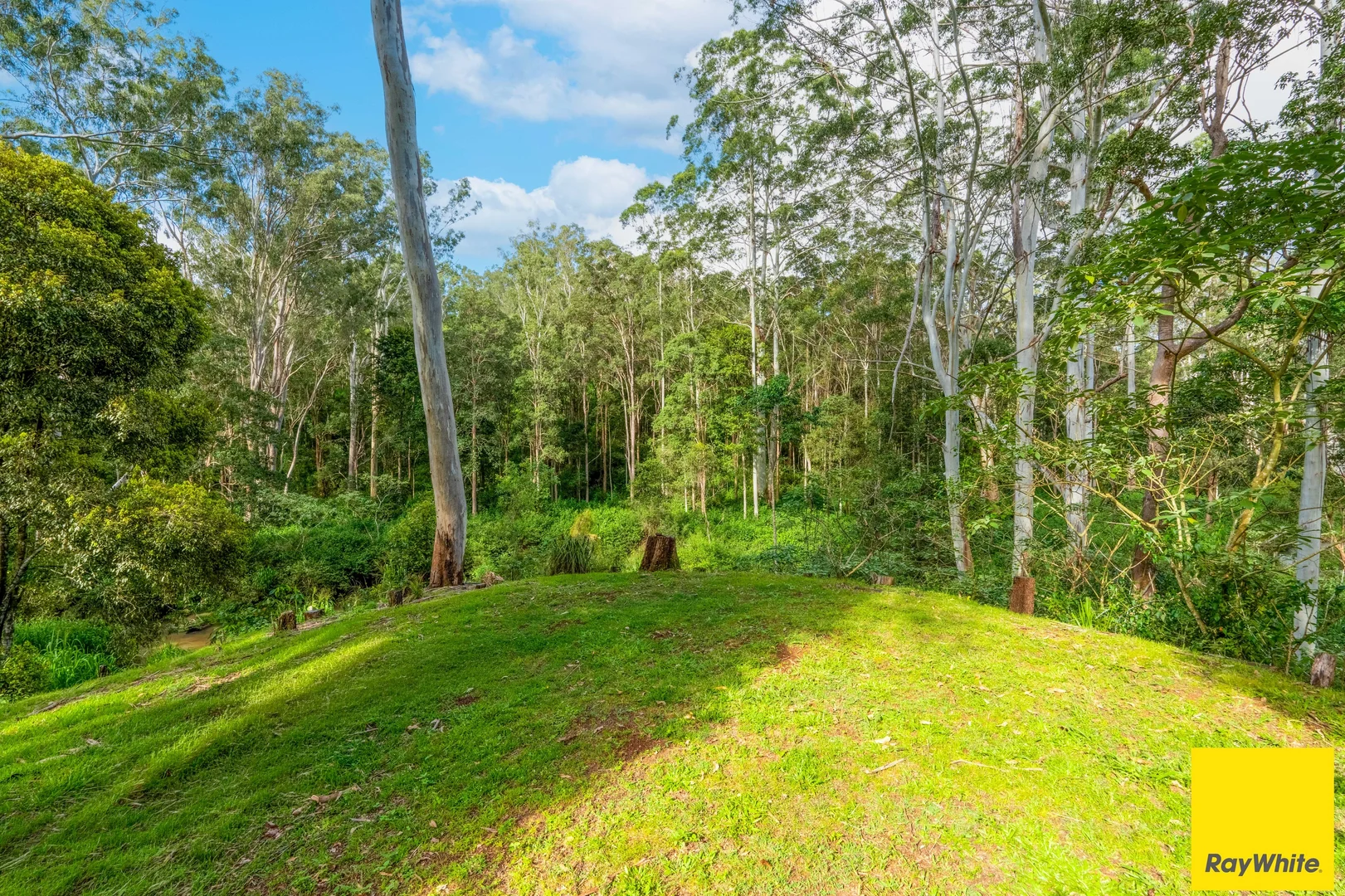 Additional image 34 of 20 Zingelmann Road, Wondecla QLD 4887